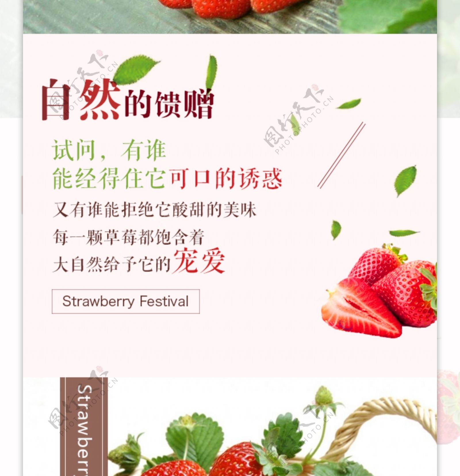 草莓节
