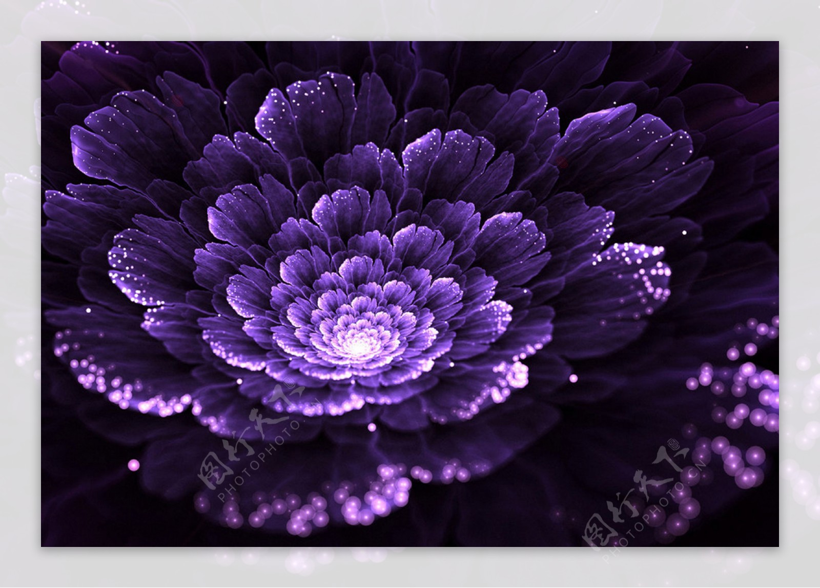 紫色花朵艺术