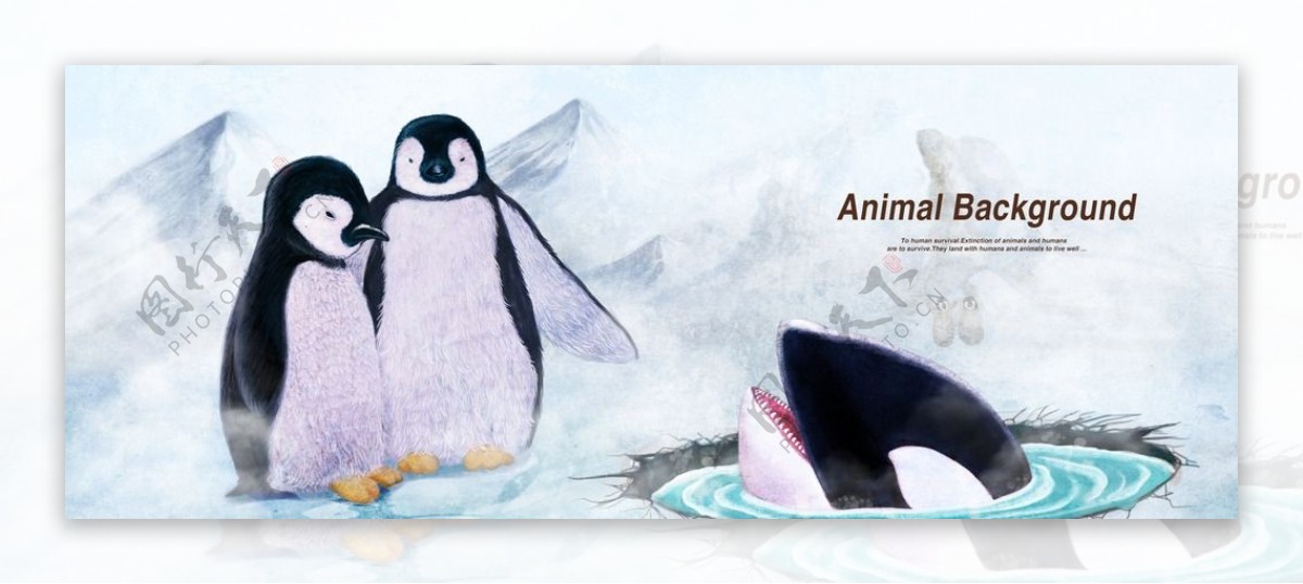 寒冷企鹅宣传设计海报