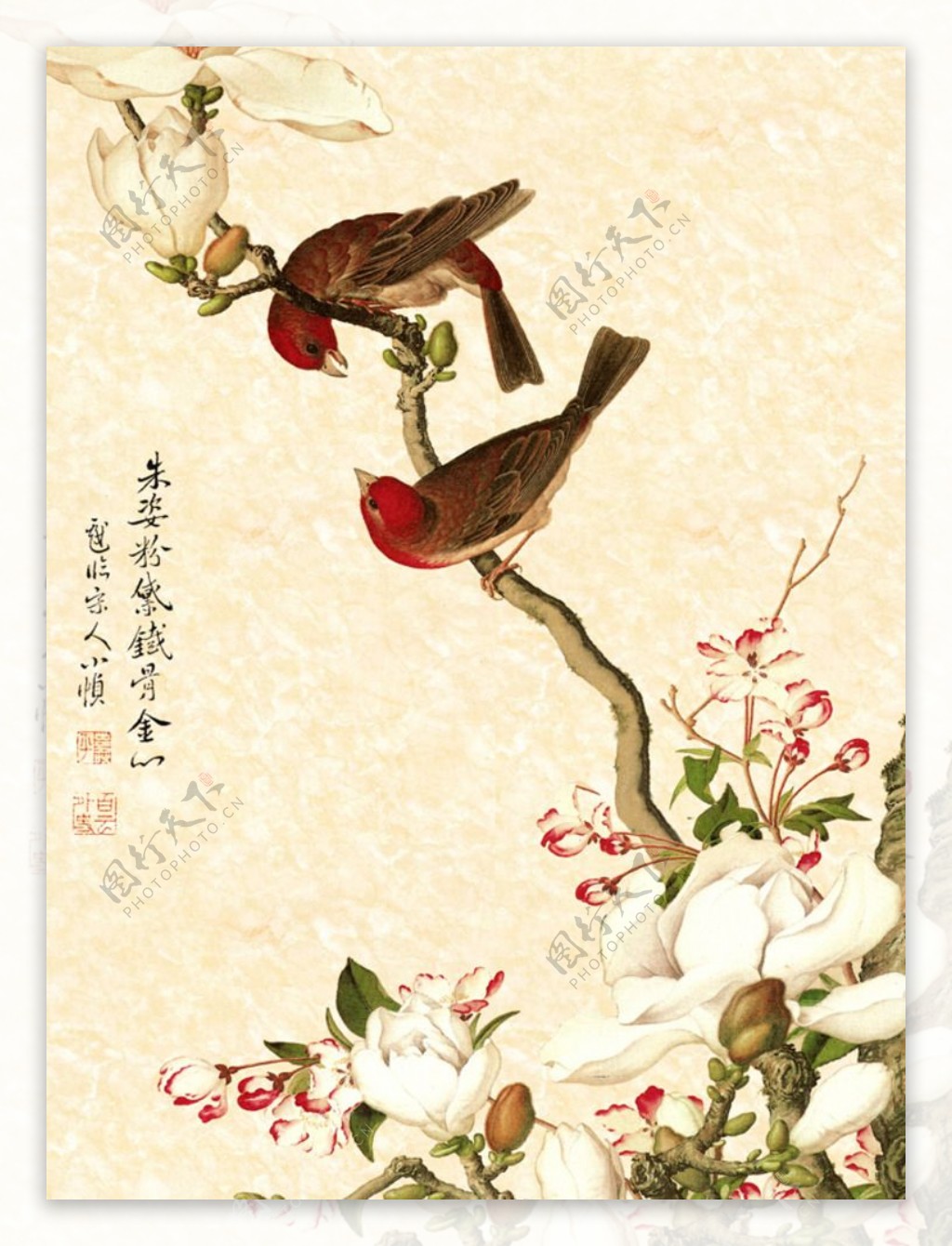 传统花鸟画