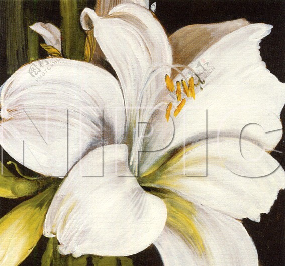 花卉油画7140厘米X40厘米