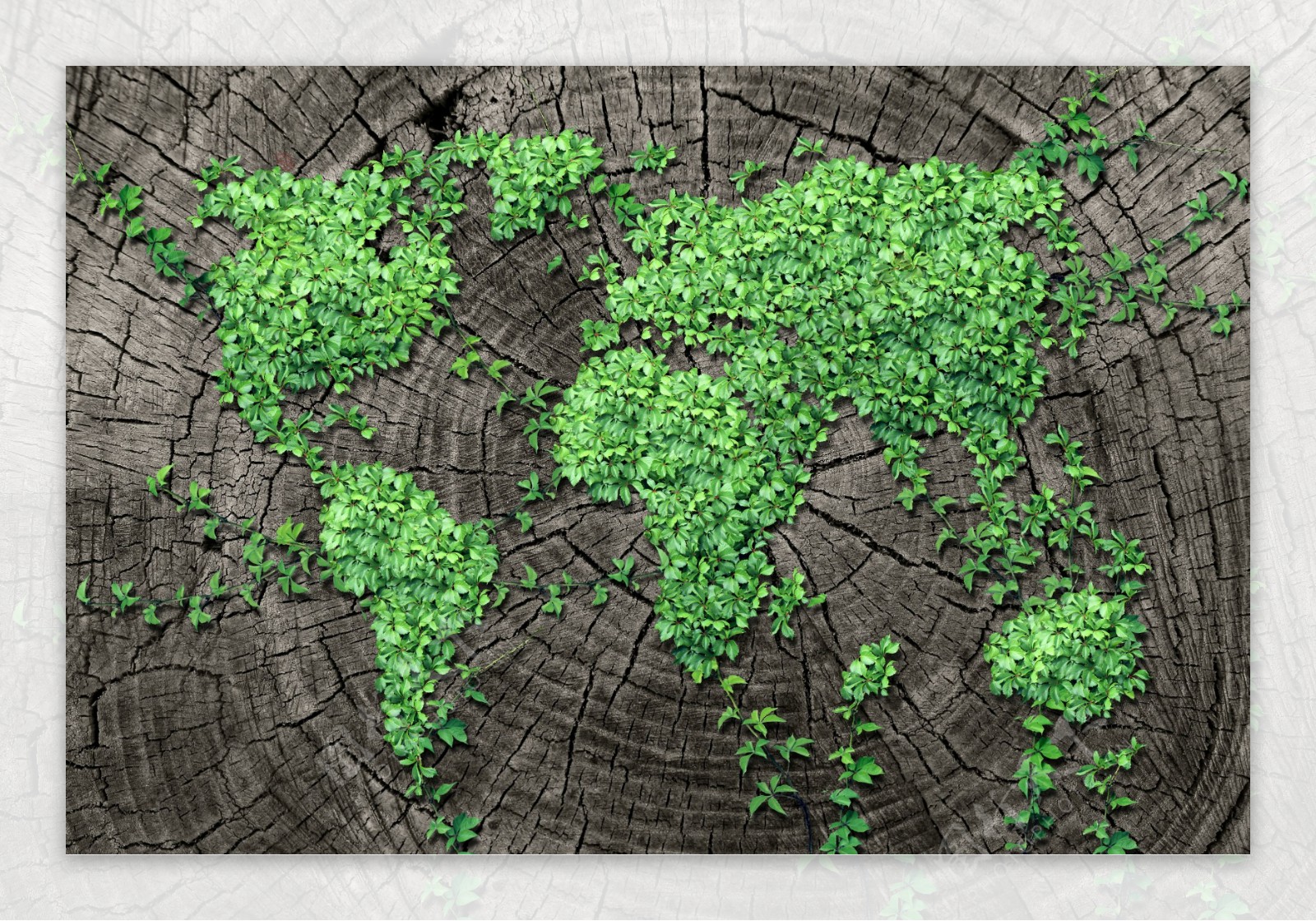 创意绿色世界地图