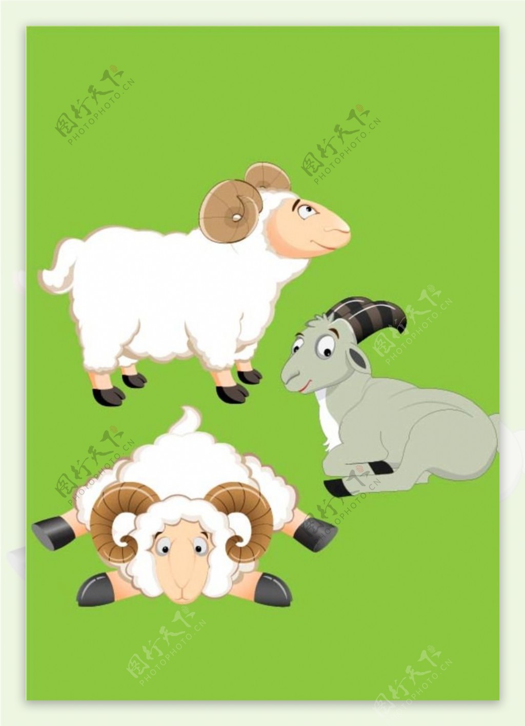 羊羊族群