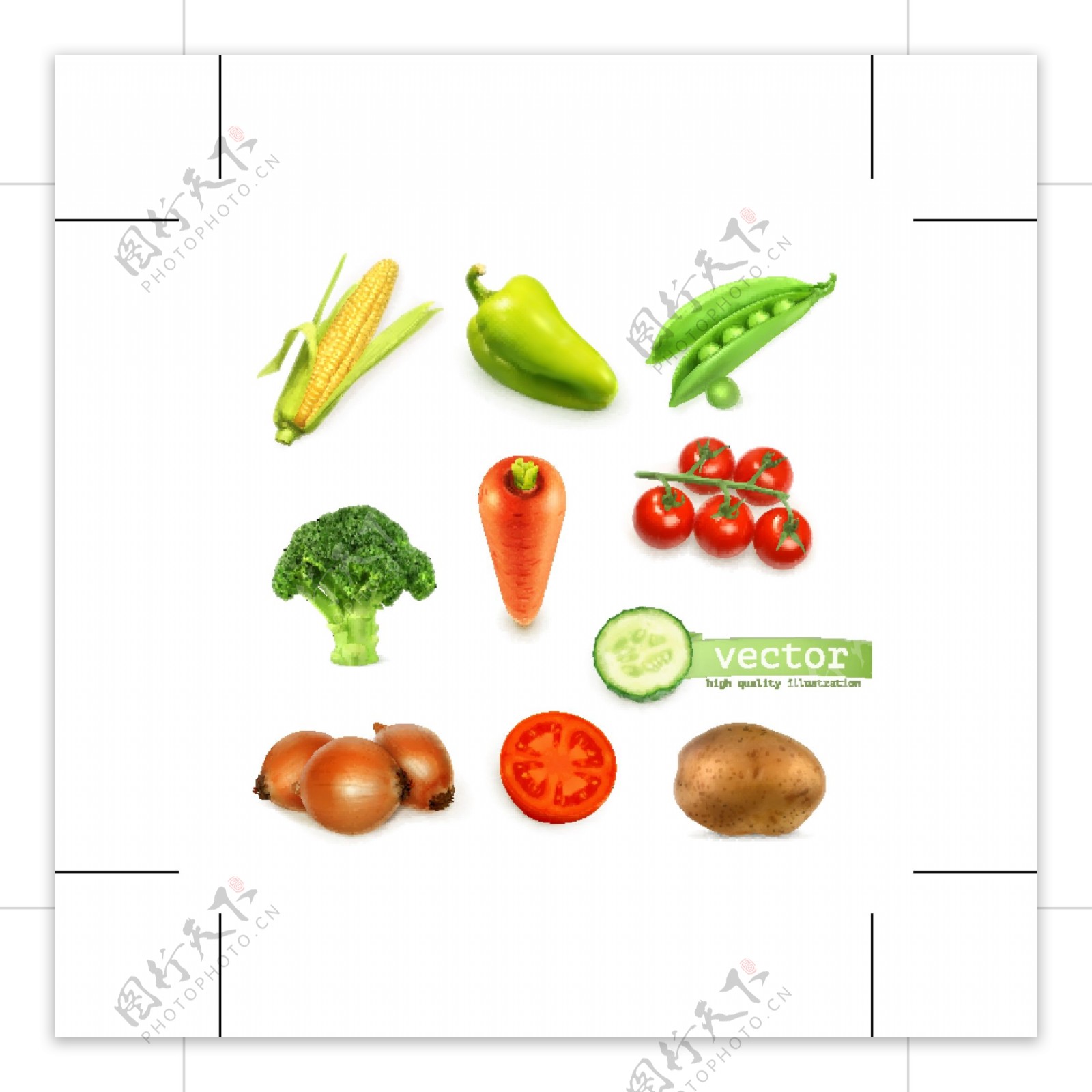 蔬菜图形标识