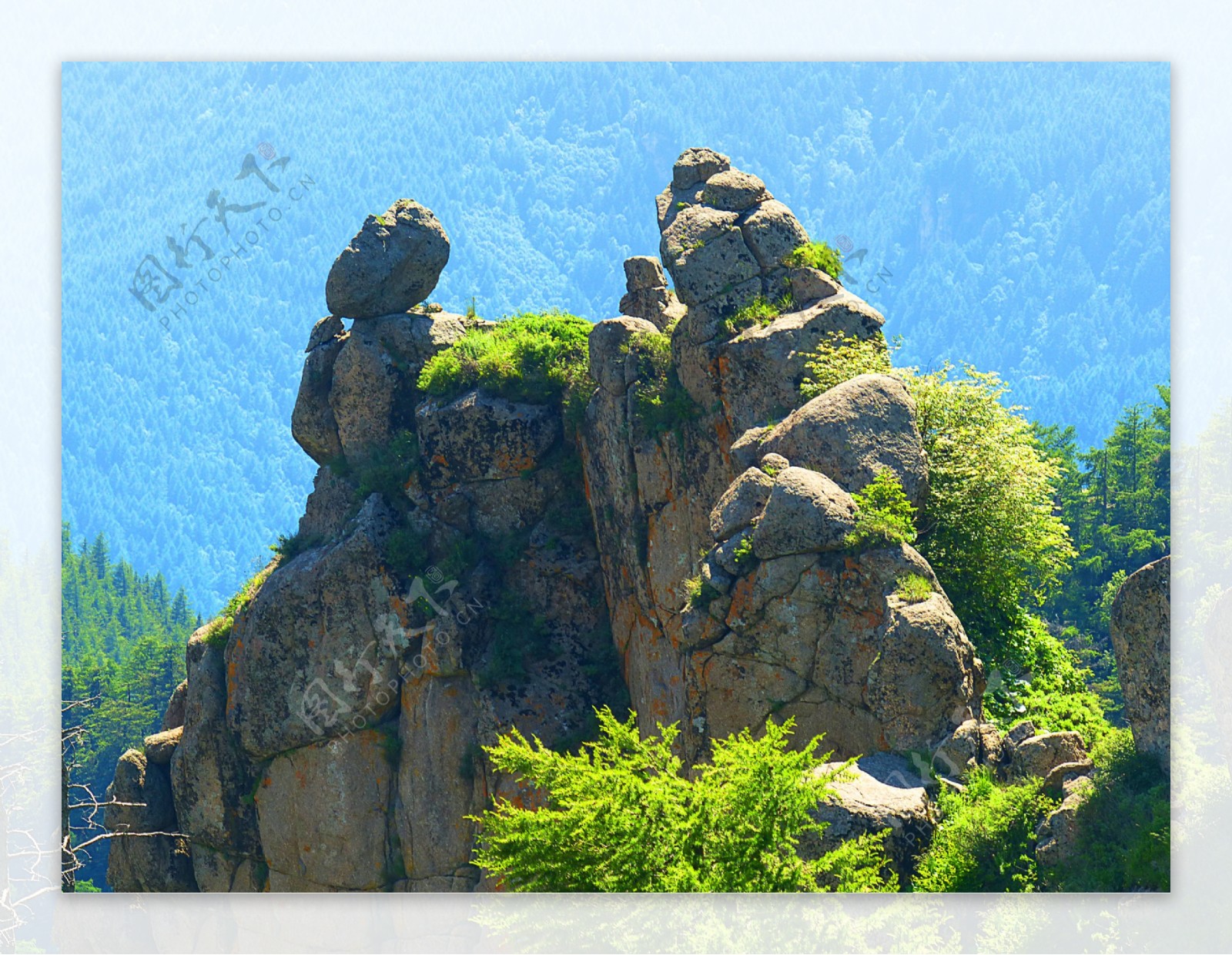 山西芦芽山马侖草原