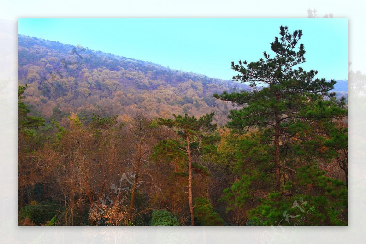 南京灵谷寺风景