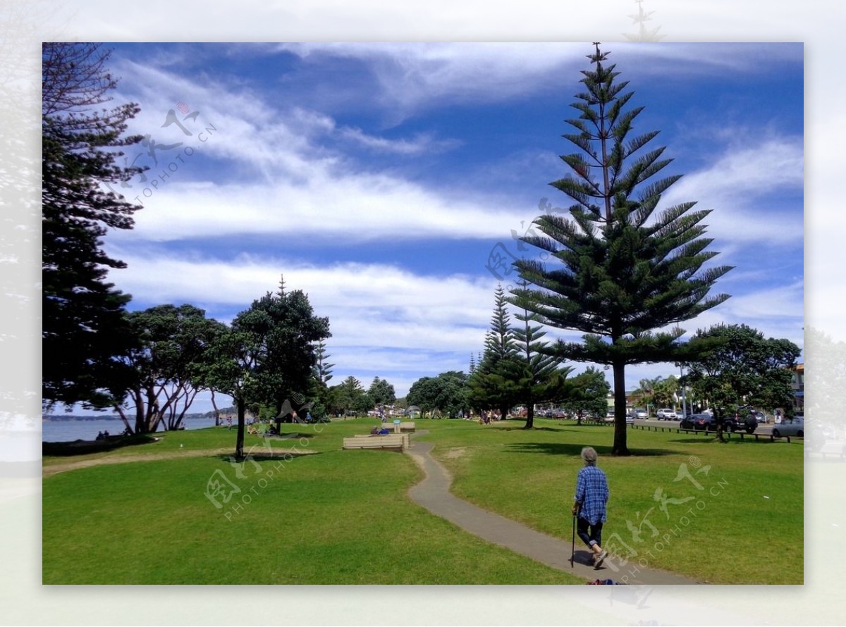 新西兰海滨公园风景