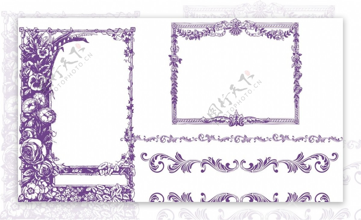 紫色花边边框