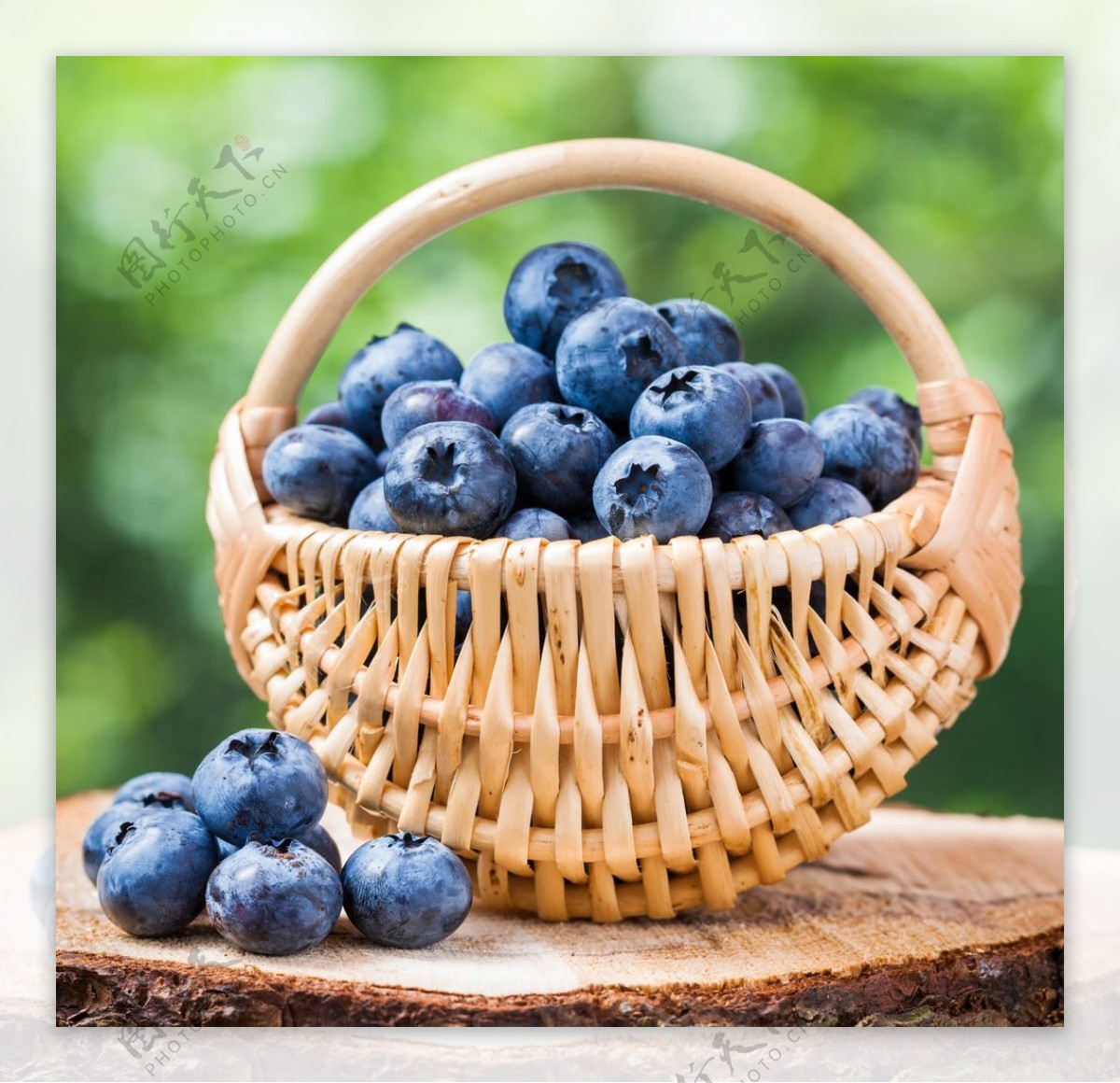 新鲜的蓝莓水果