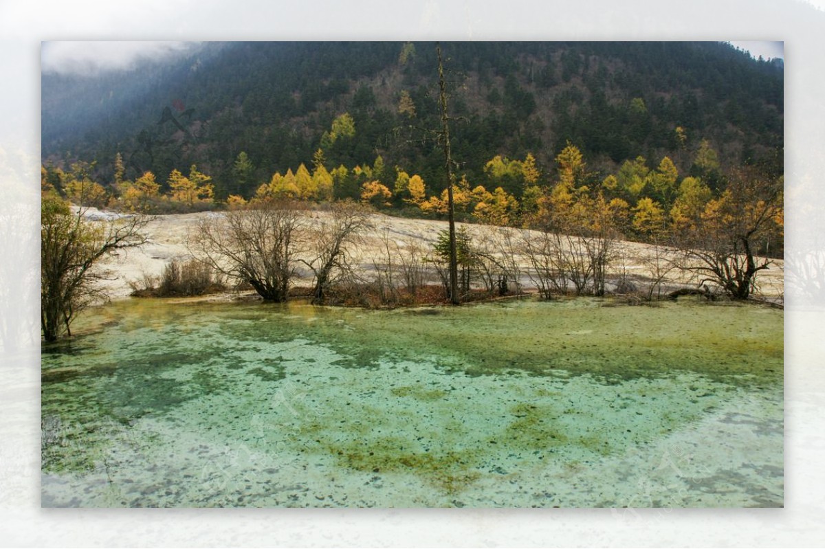 四川黄龙的风景