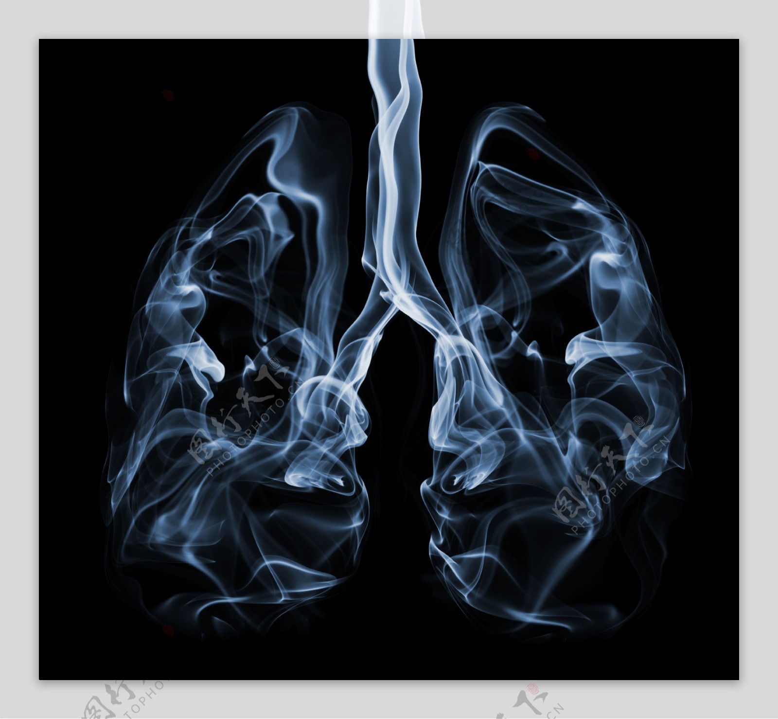 肺部造型高清