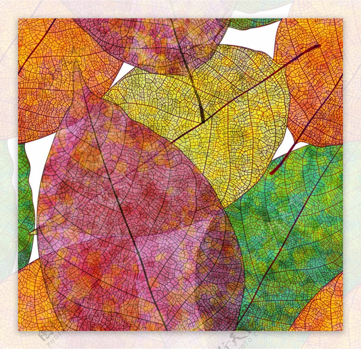 彩色秋叶背景矢量素材