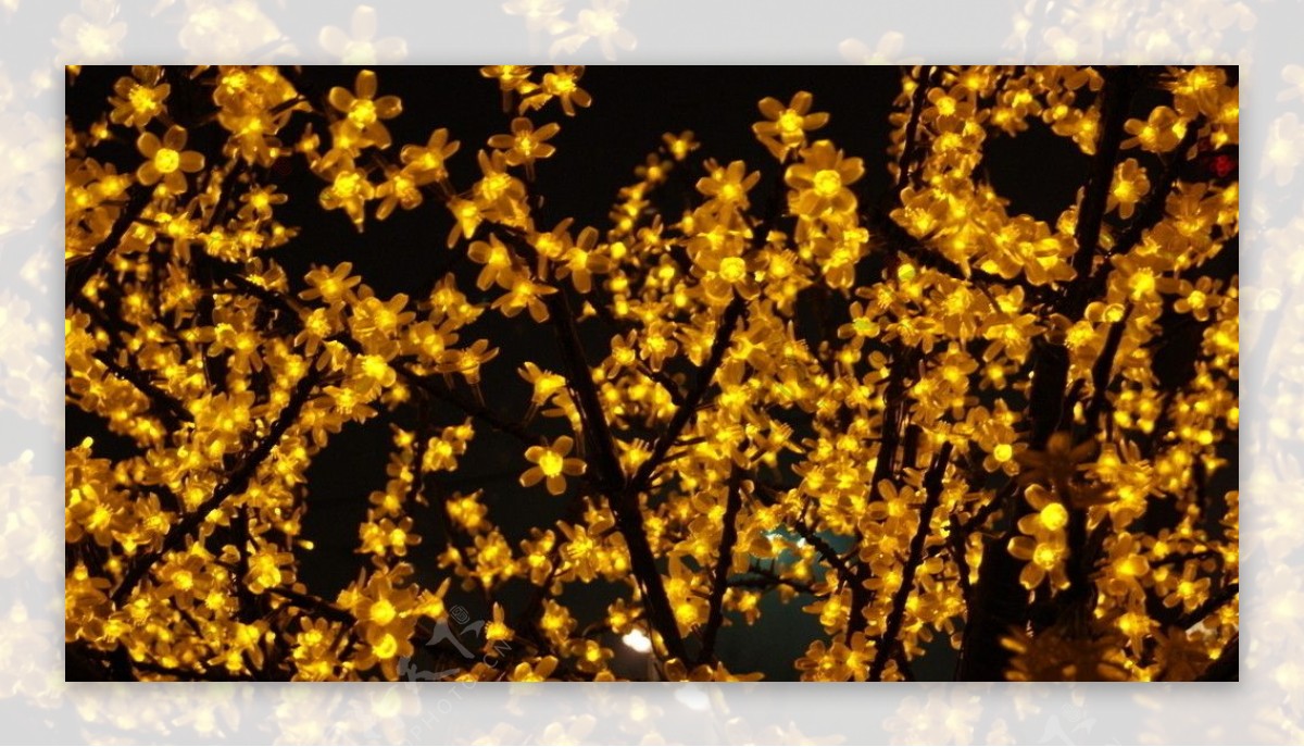 元宵节黄灯树
