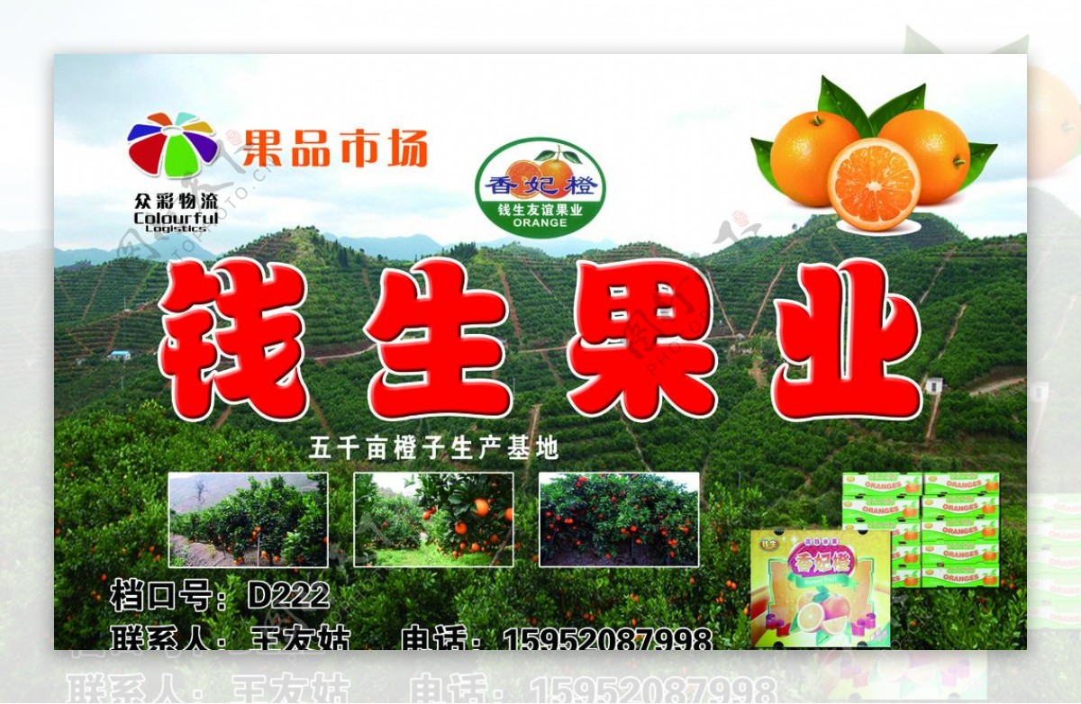 水果橙子种植基地背景海报