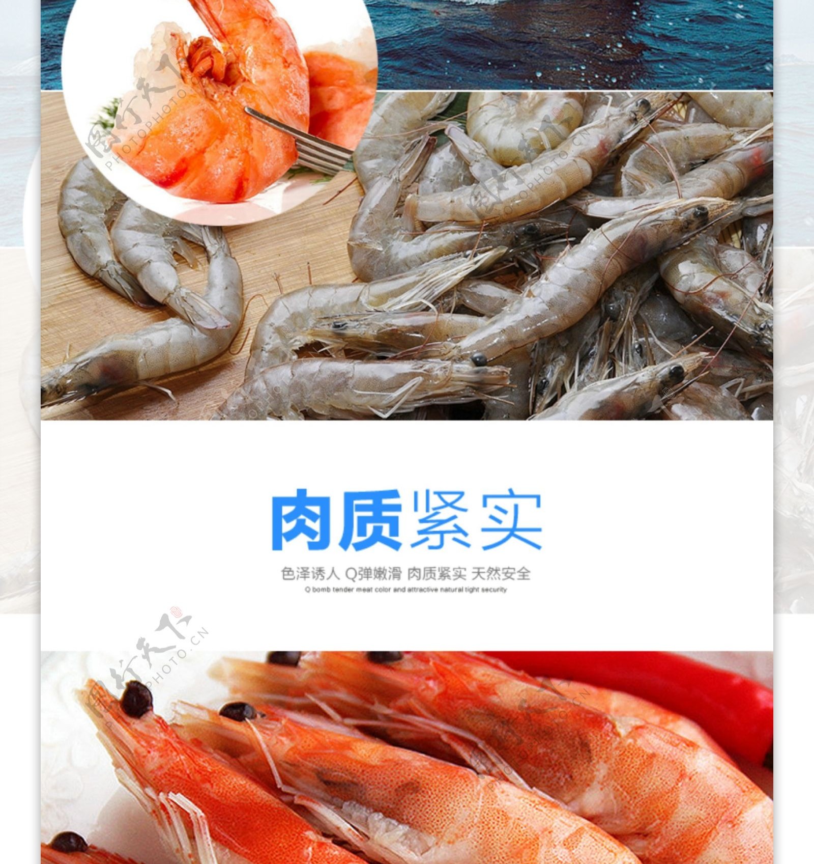 南美红虾详情页