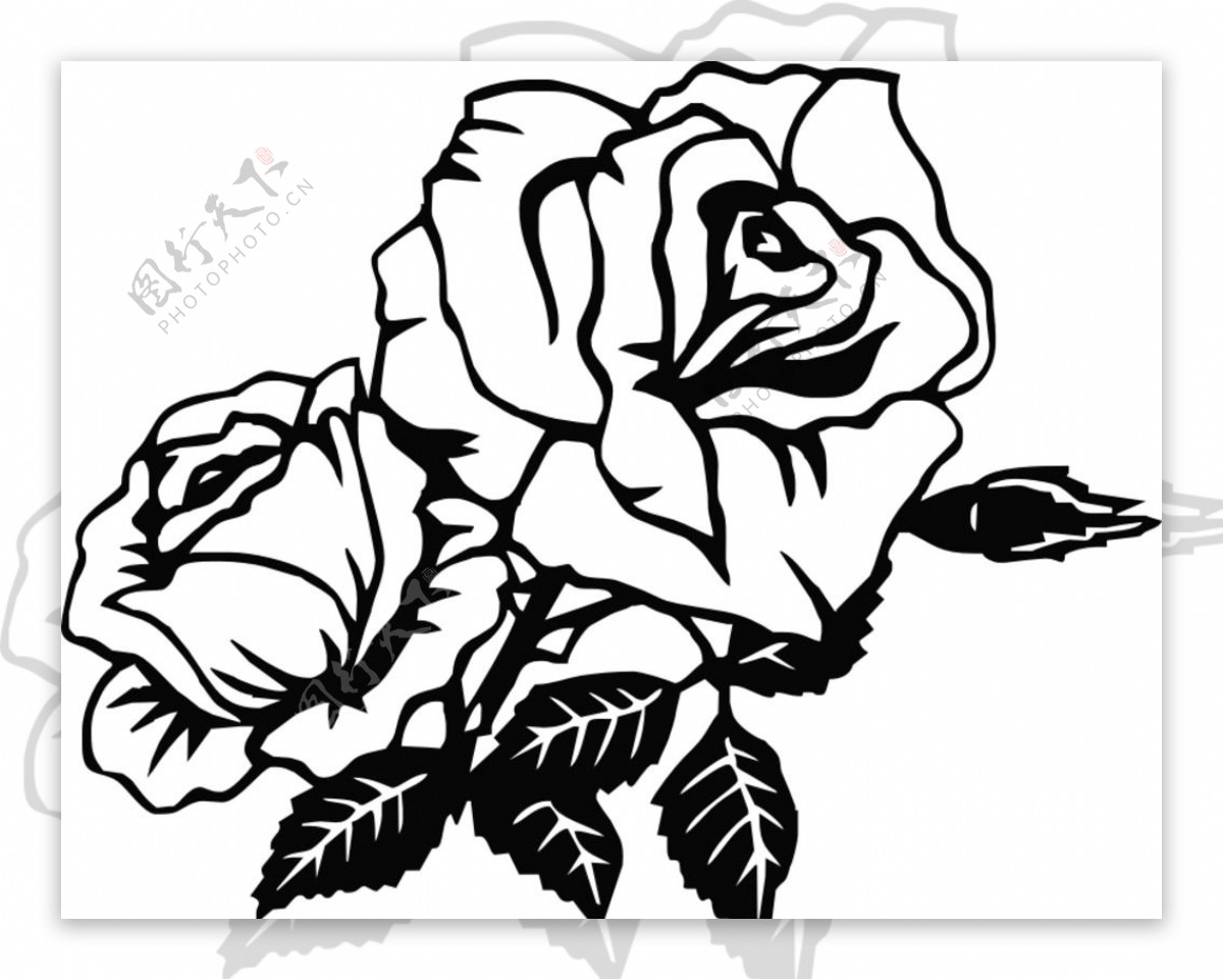 黑白时尚玫瑰花植物图片素材-编号29425667-图行天下