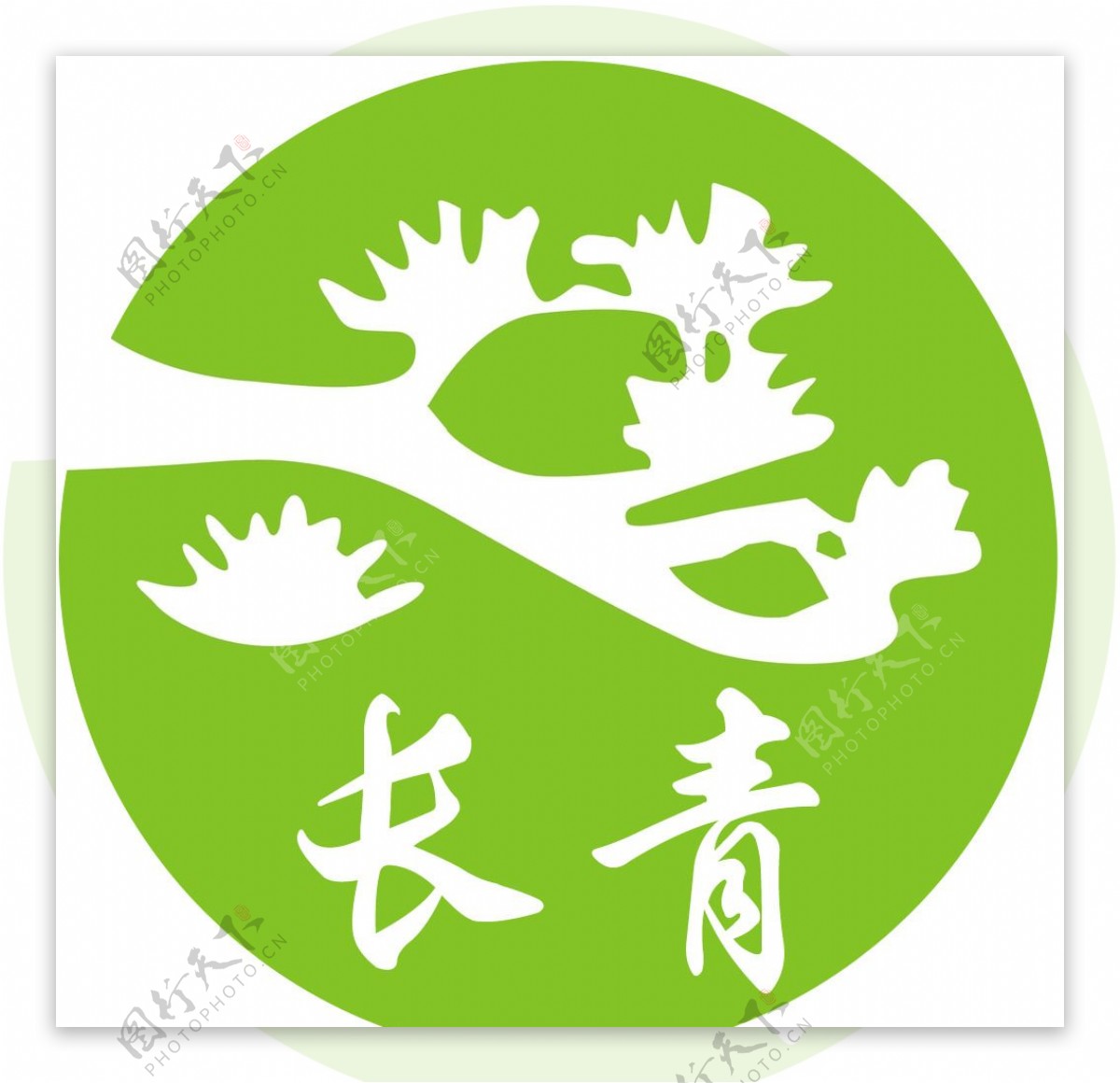 长青树logo