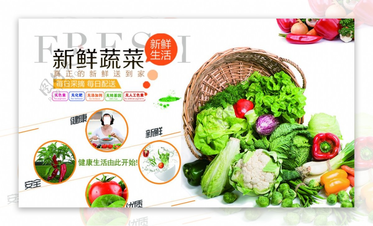 鲜蔬菜宣传展板