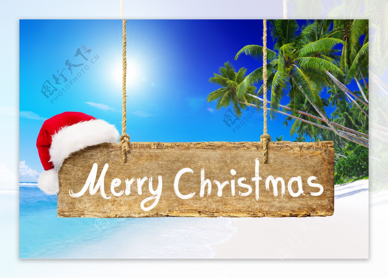 海边椰子树圣诞节吊牌图片