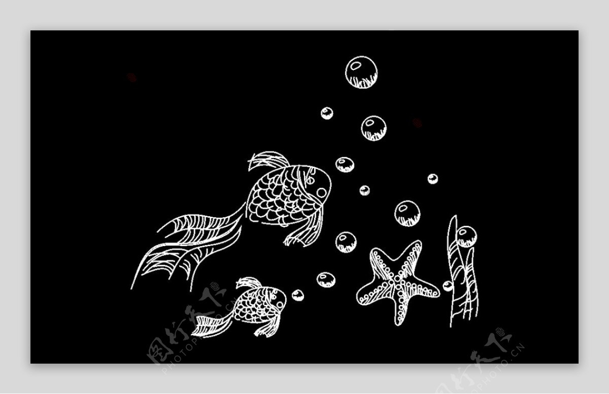 线条海底生物鱼海星水草