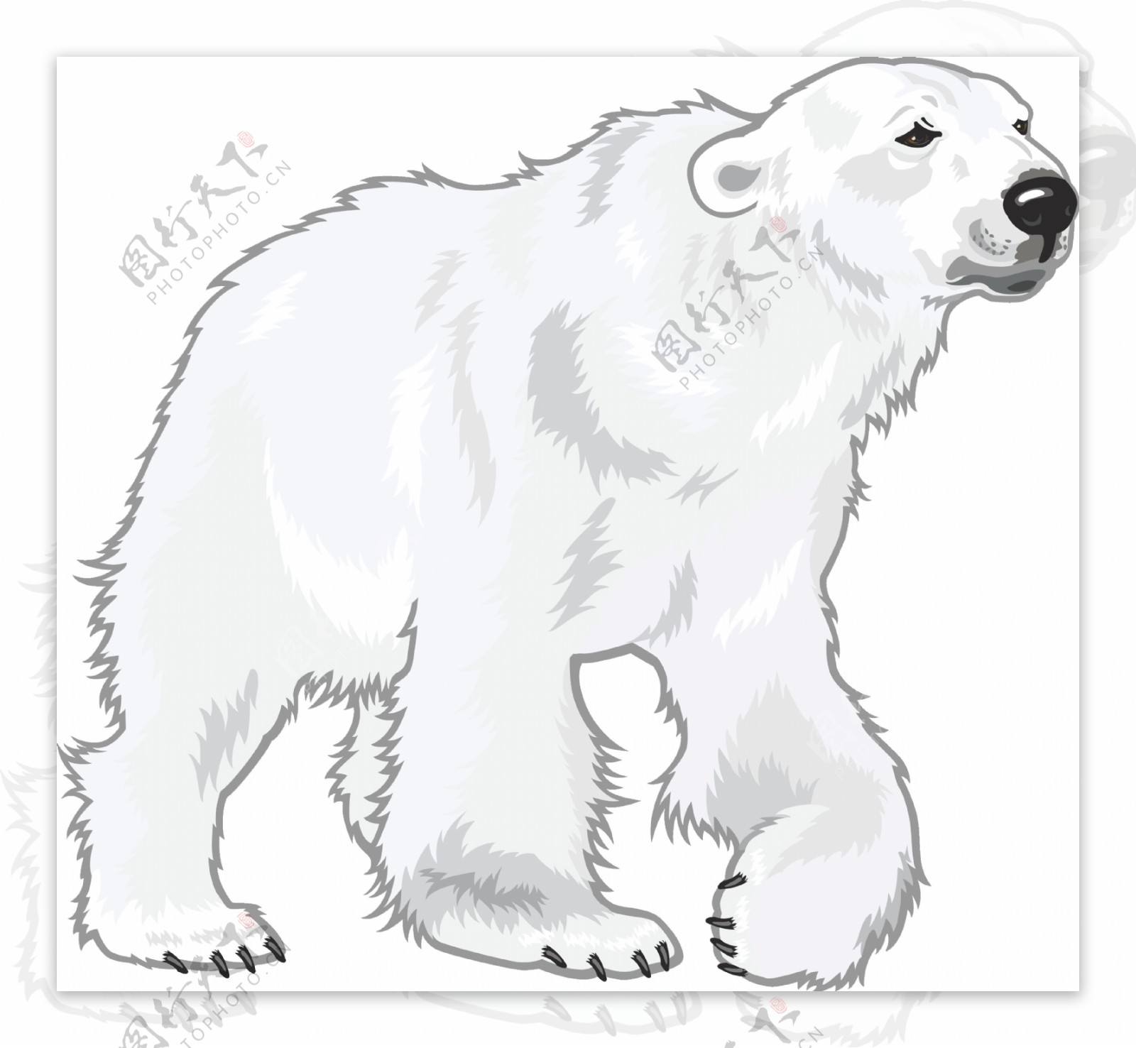 手绘白色北极熊免抠png透明图层素