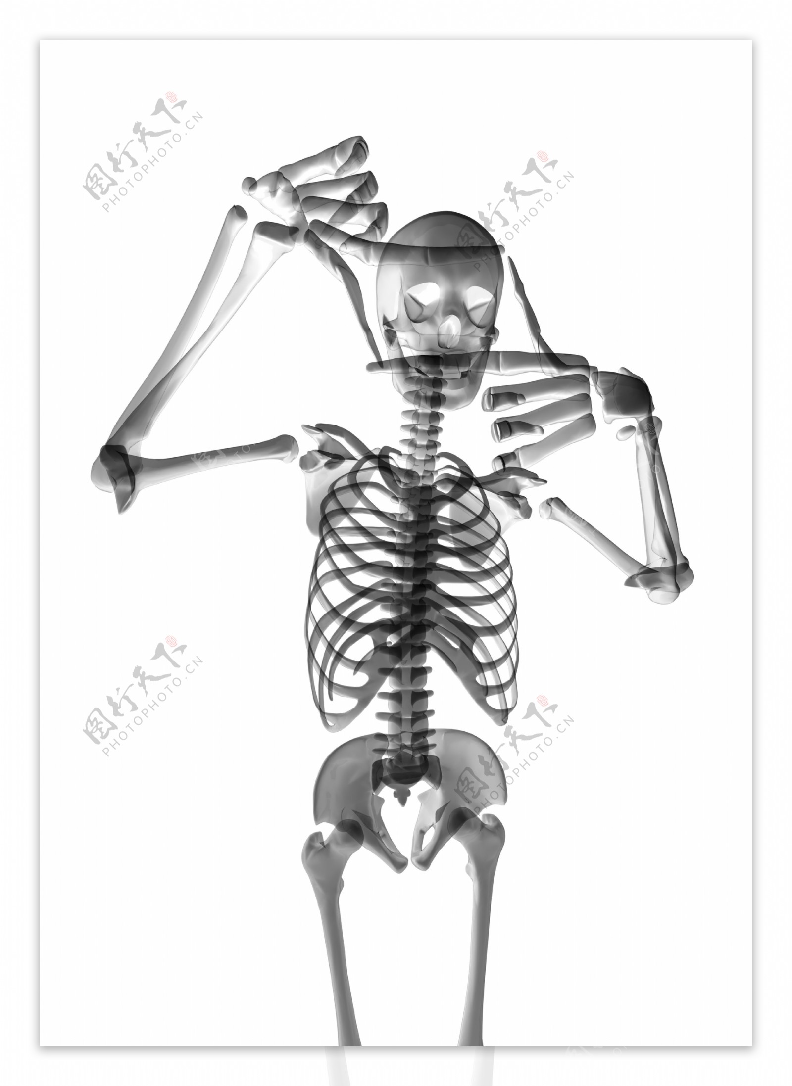 人体骨架运动系列高清