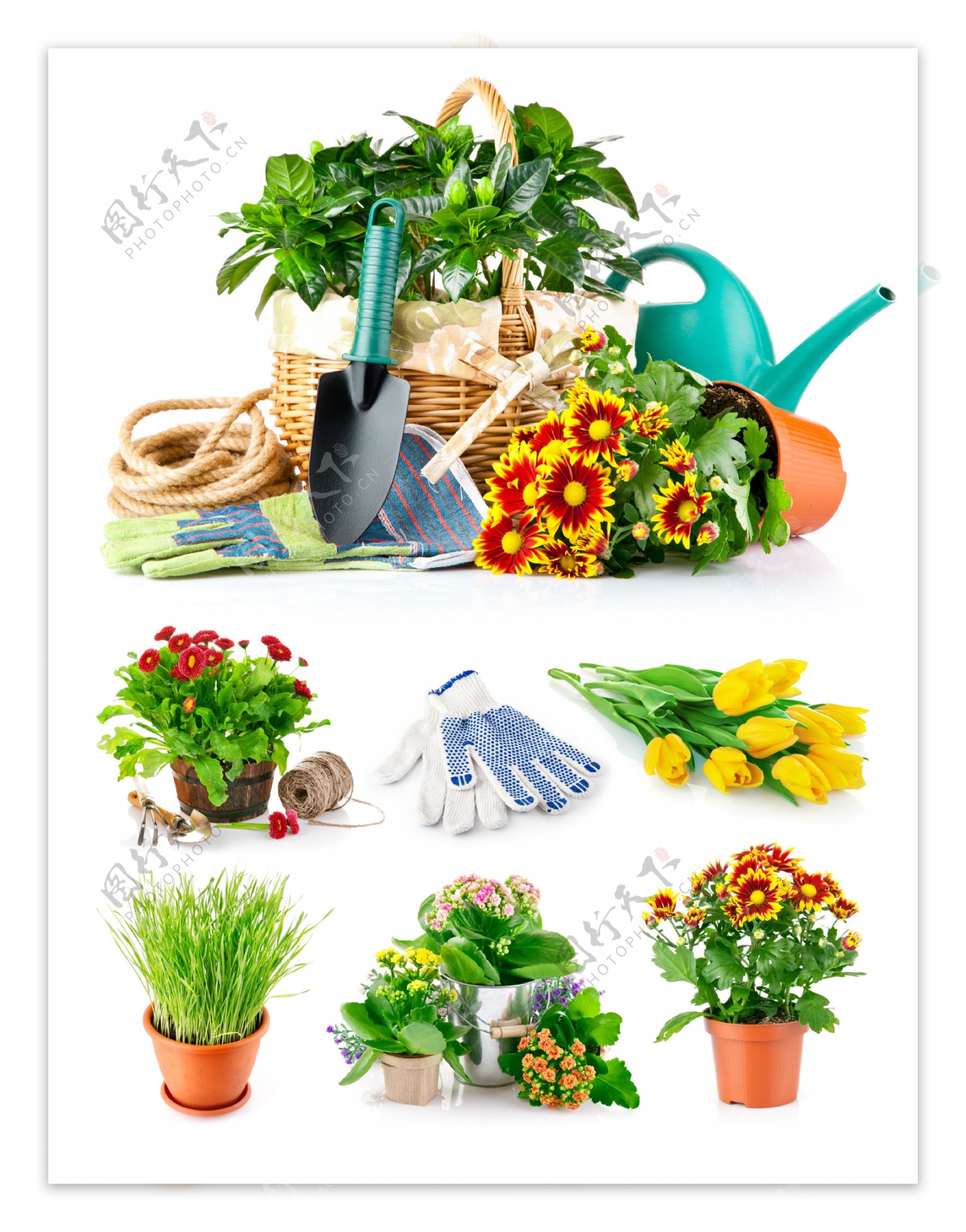 园艺工具与鲜花花盆图片