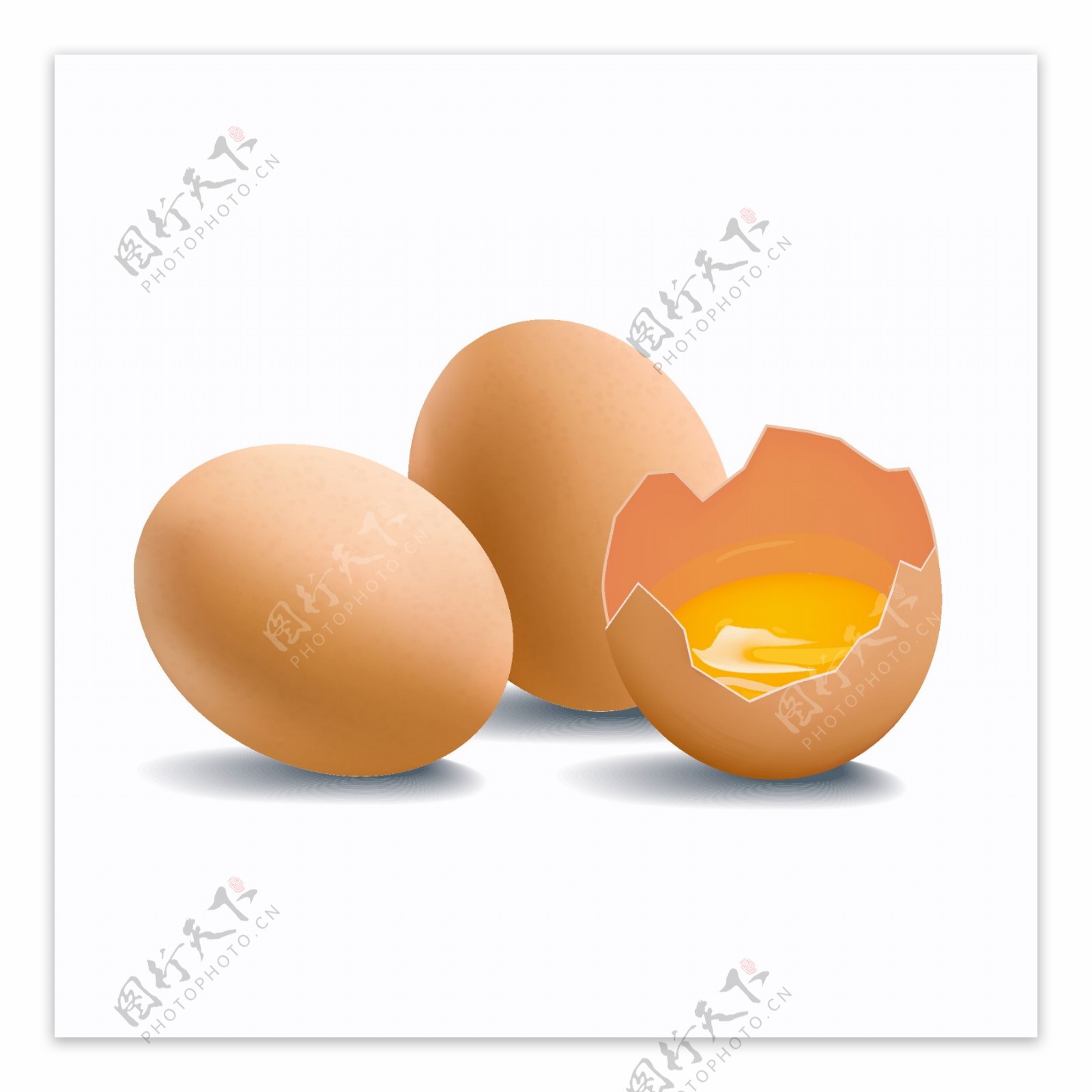 2个新鲜鸡蛋和1个打碎的鸡蛋矢量
