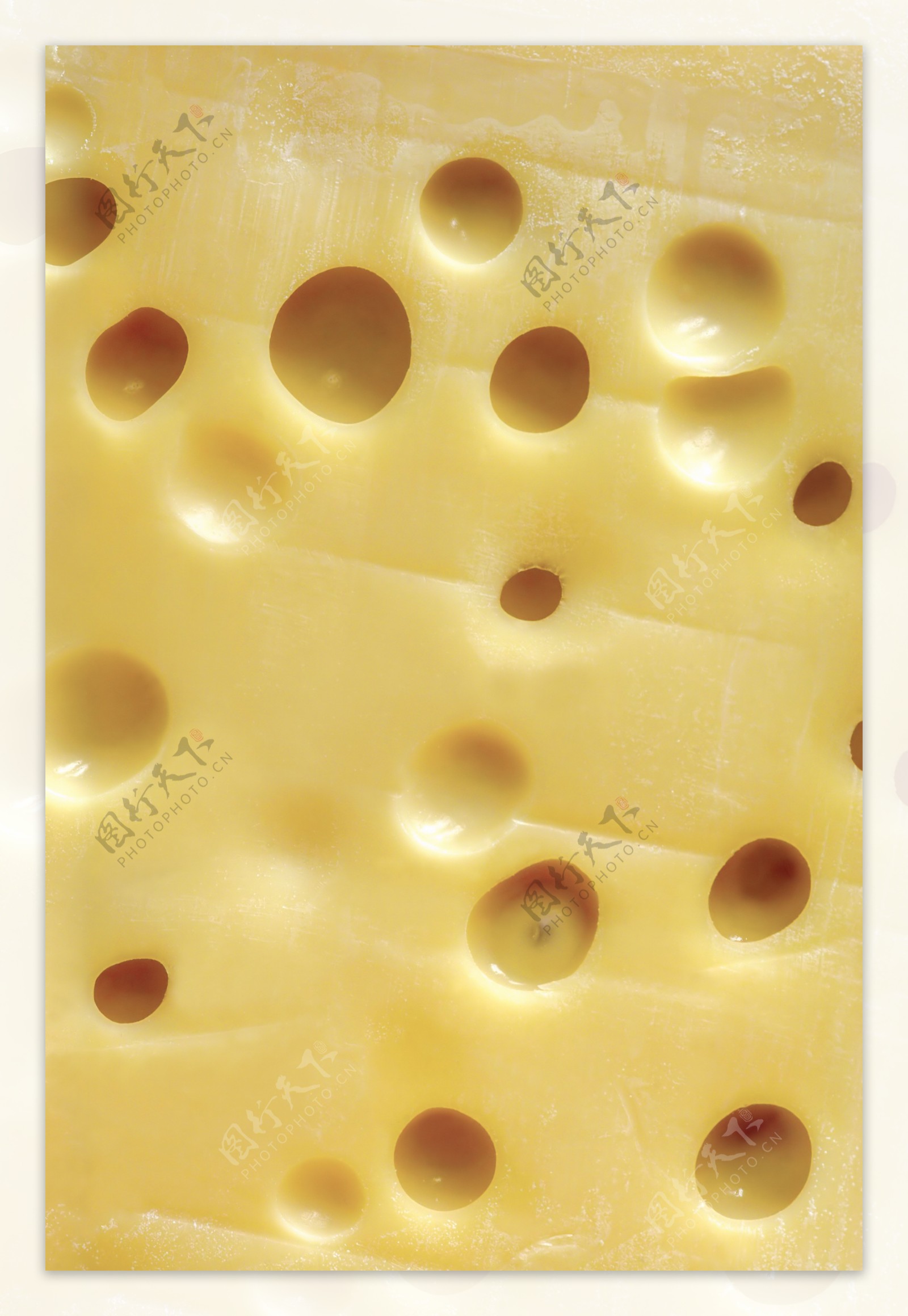 奶酪55图片