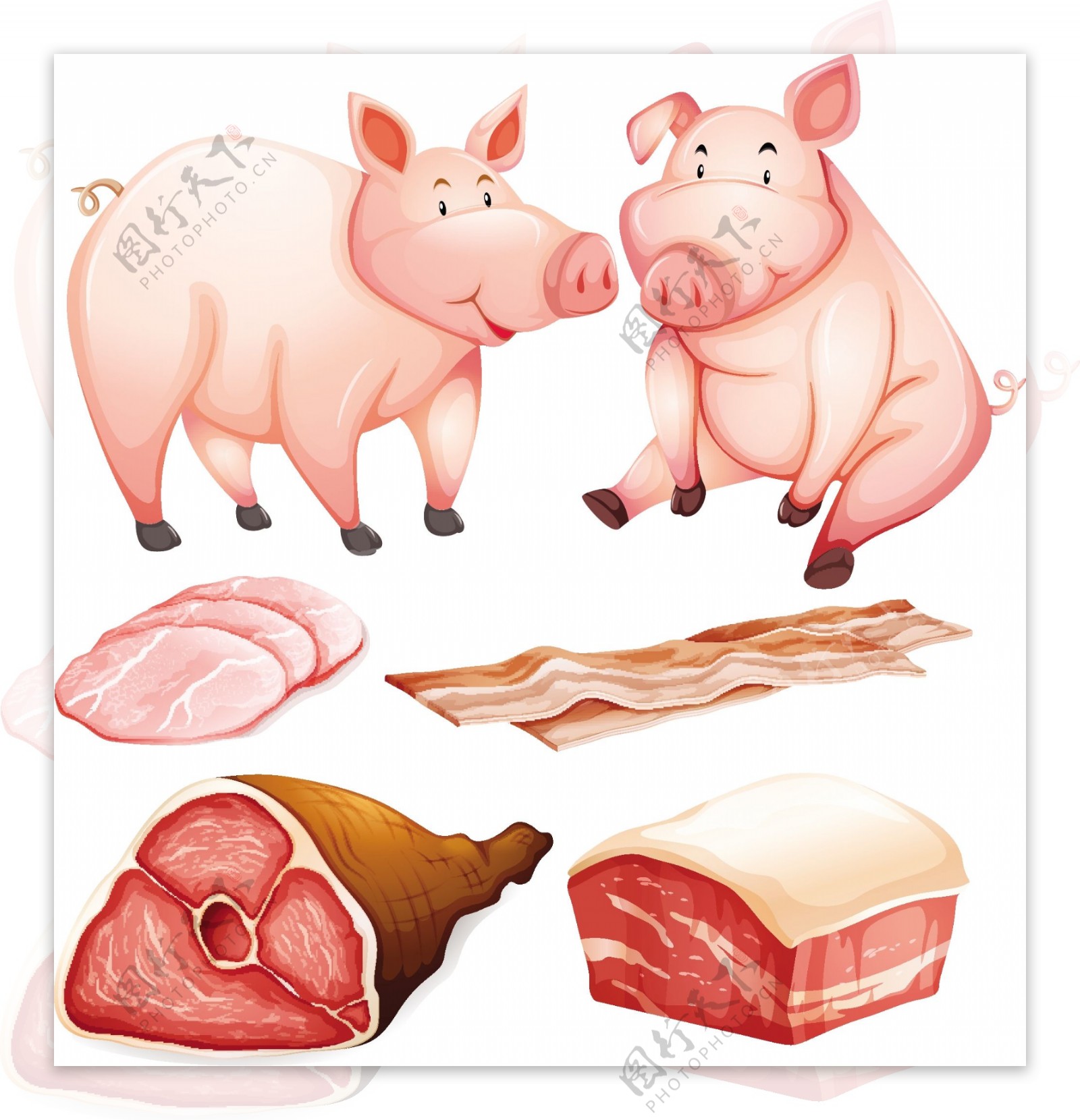 猪和猪肉