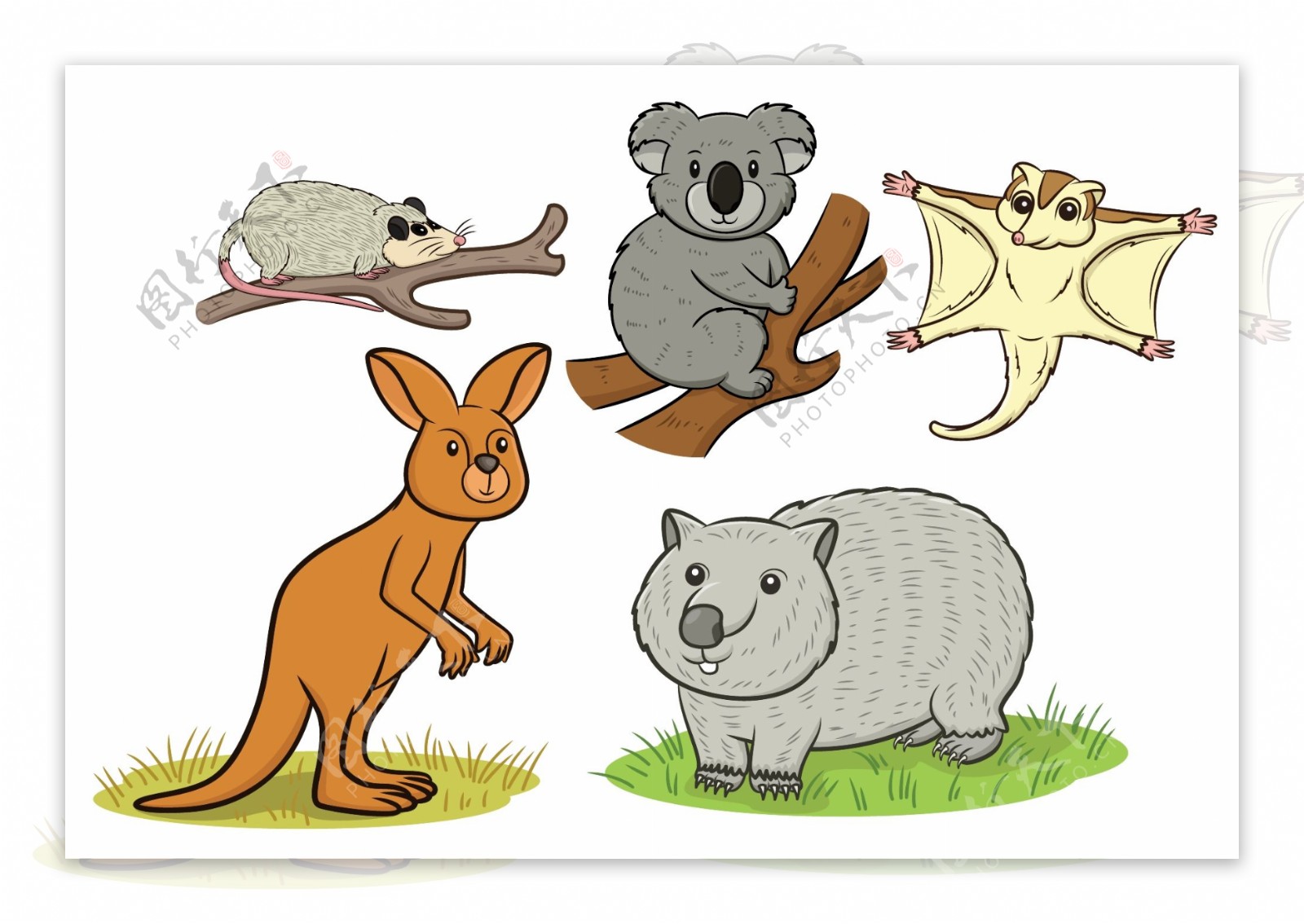 澳大利亚动物插图矢量素材