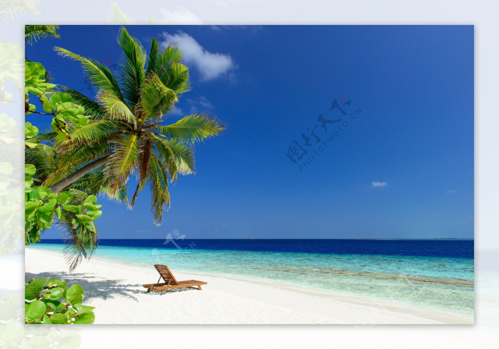 沙滩椰树海边风景图片