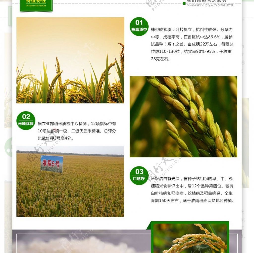 农业产品详情页