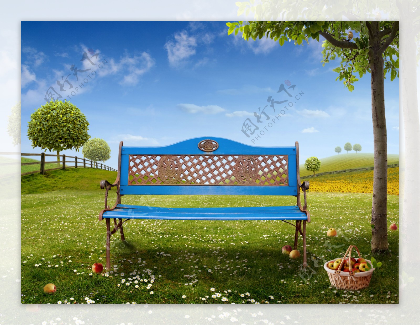 草地上的休闲椅子图片