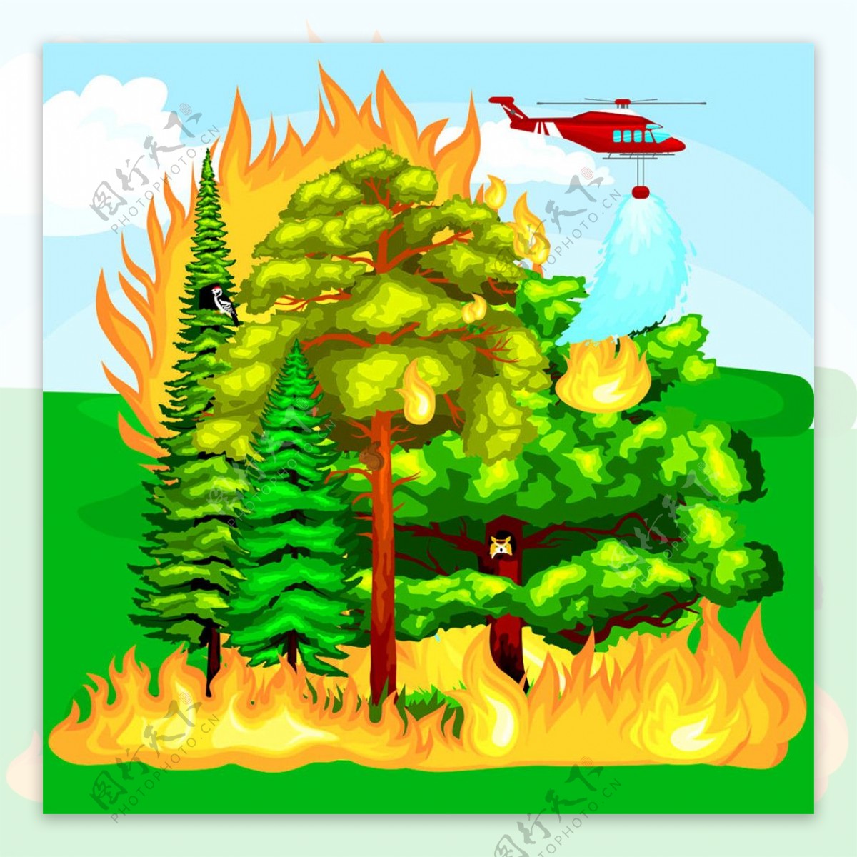 树林火灾图片2