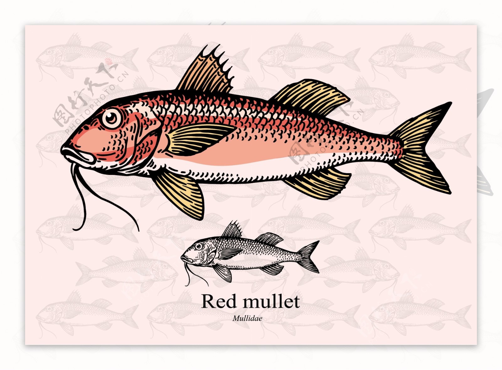 卡通红色鱼矢量素材下载