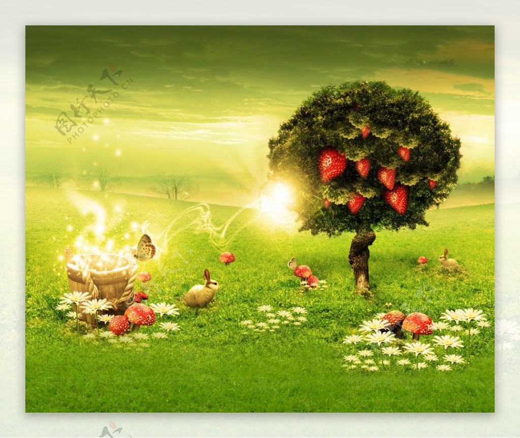挂满草莓的大树影楼摄影背景图片