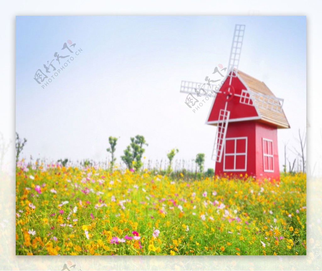鲜花草地与风车屋影楼摄影背景图片