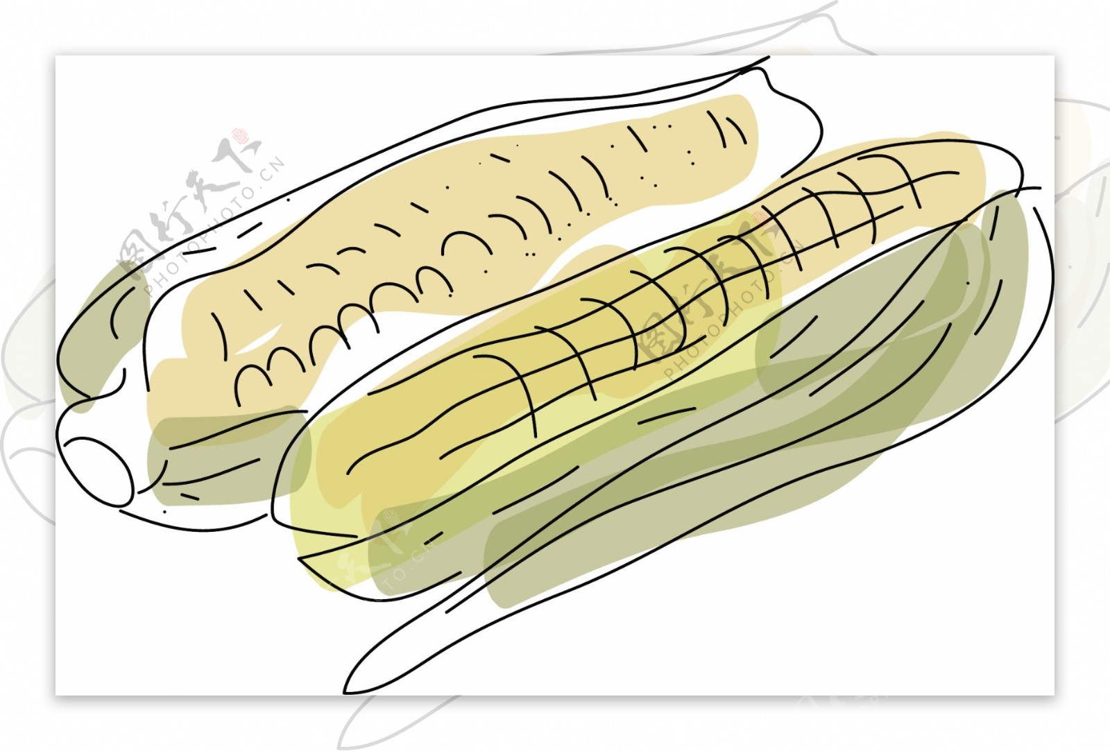 玉米水彩手绘风格蔬菜矢量素材