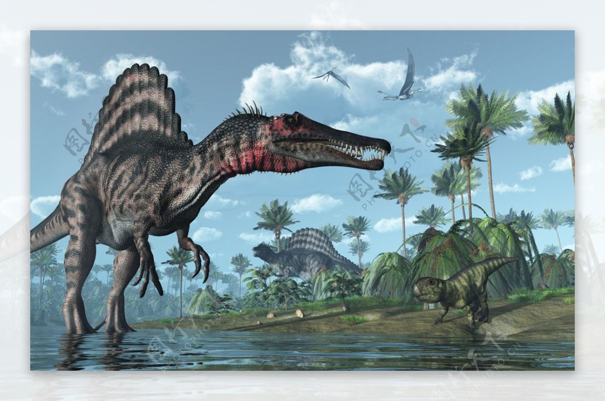 侏罗纪恐龙和植物图片