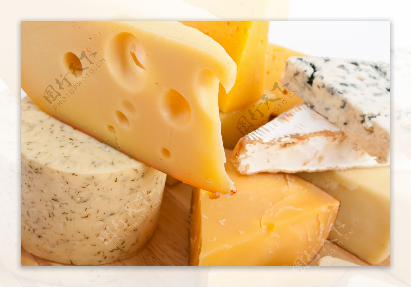 奶酪11图片