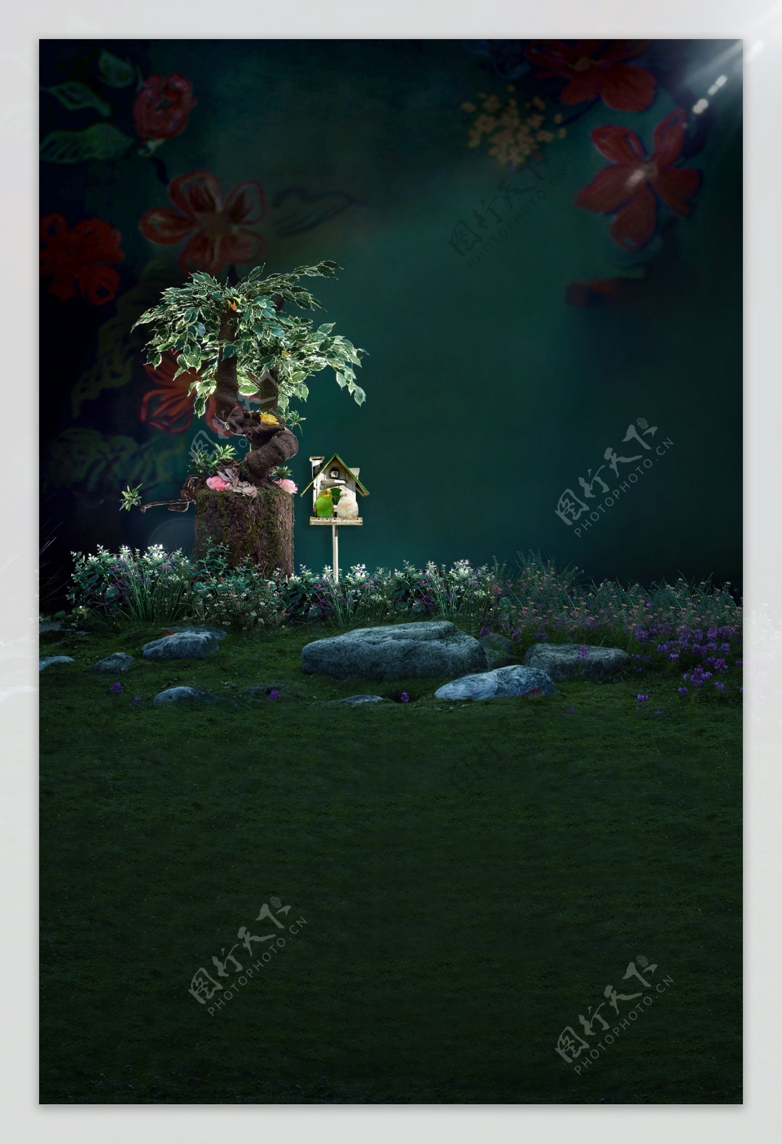 石头花草鸟笼植物影楼摄影背景图片