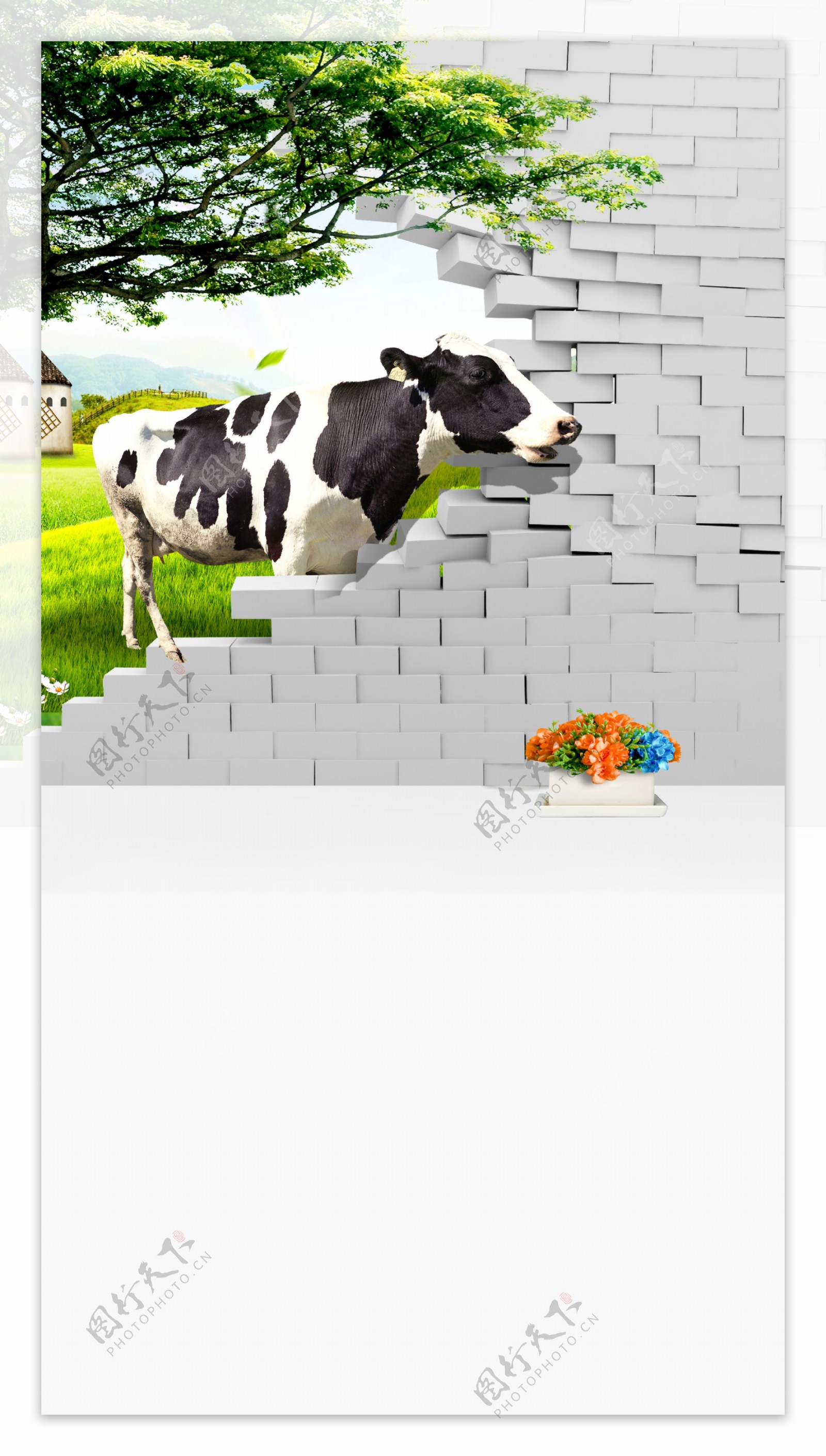 大树奶牛与断壁等影楼摄影背景图片