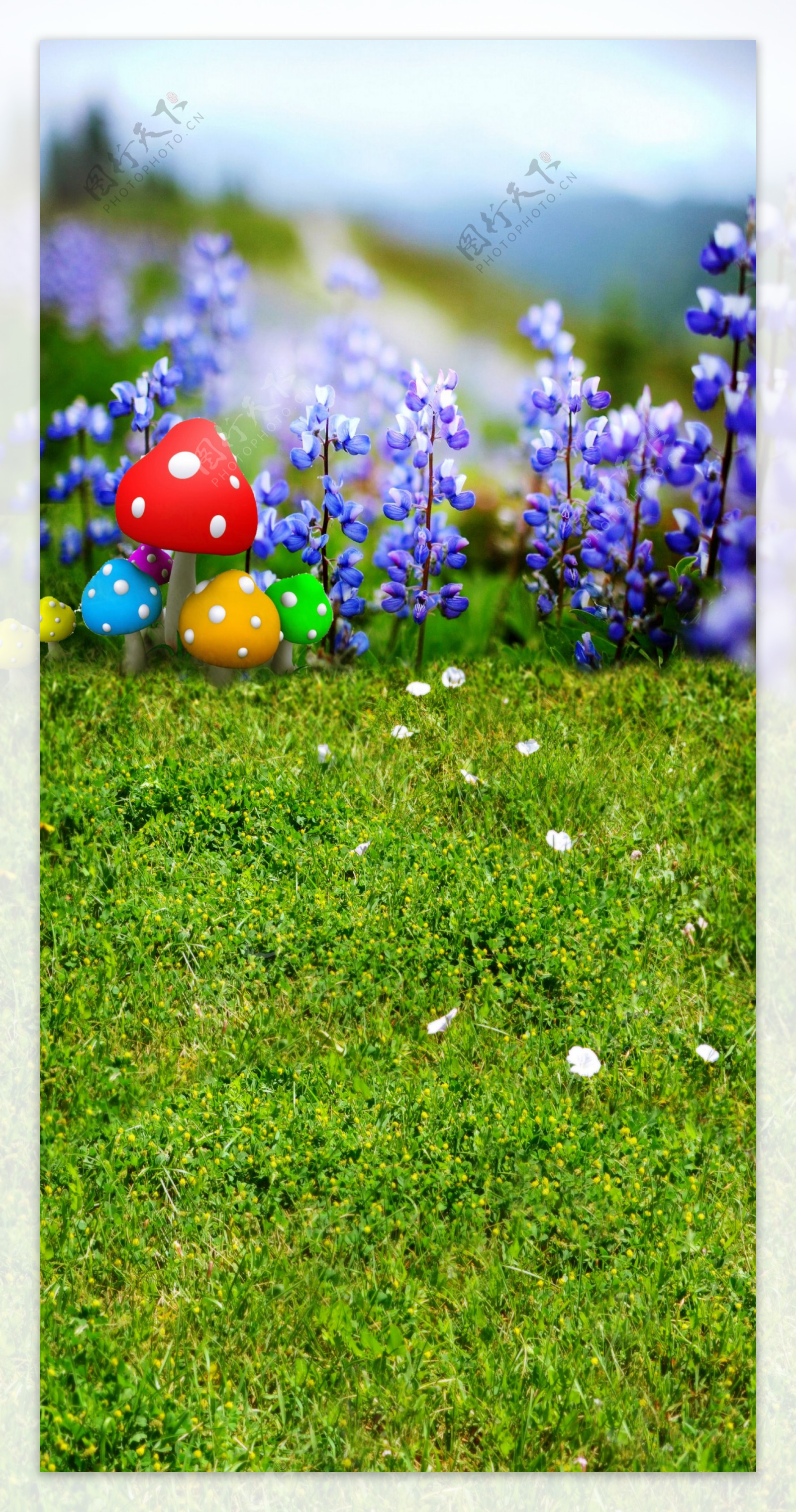 鲜艳花朵与蘑菇等影楼摄影背景图片