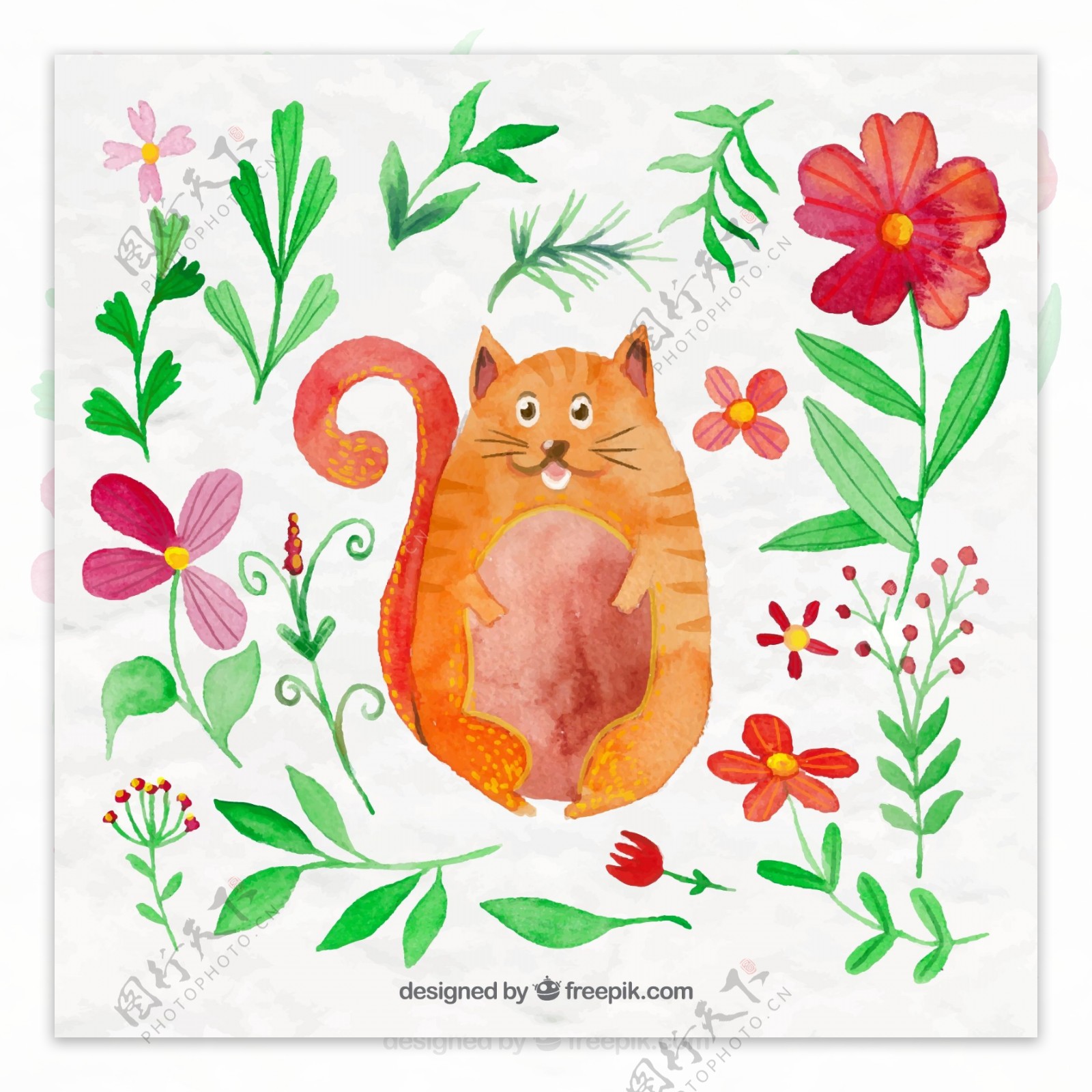 水彩绘花卉和胖猫咪矢量素材