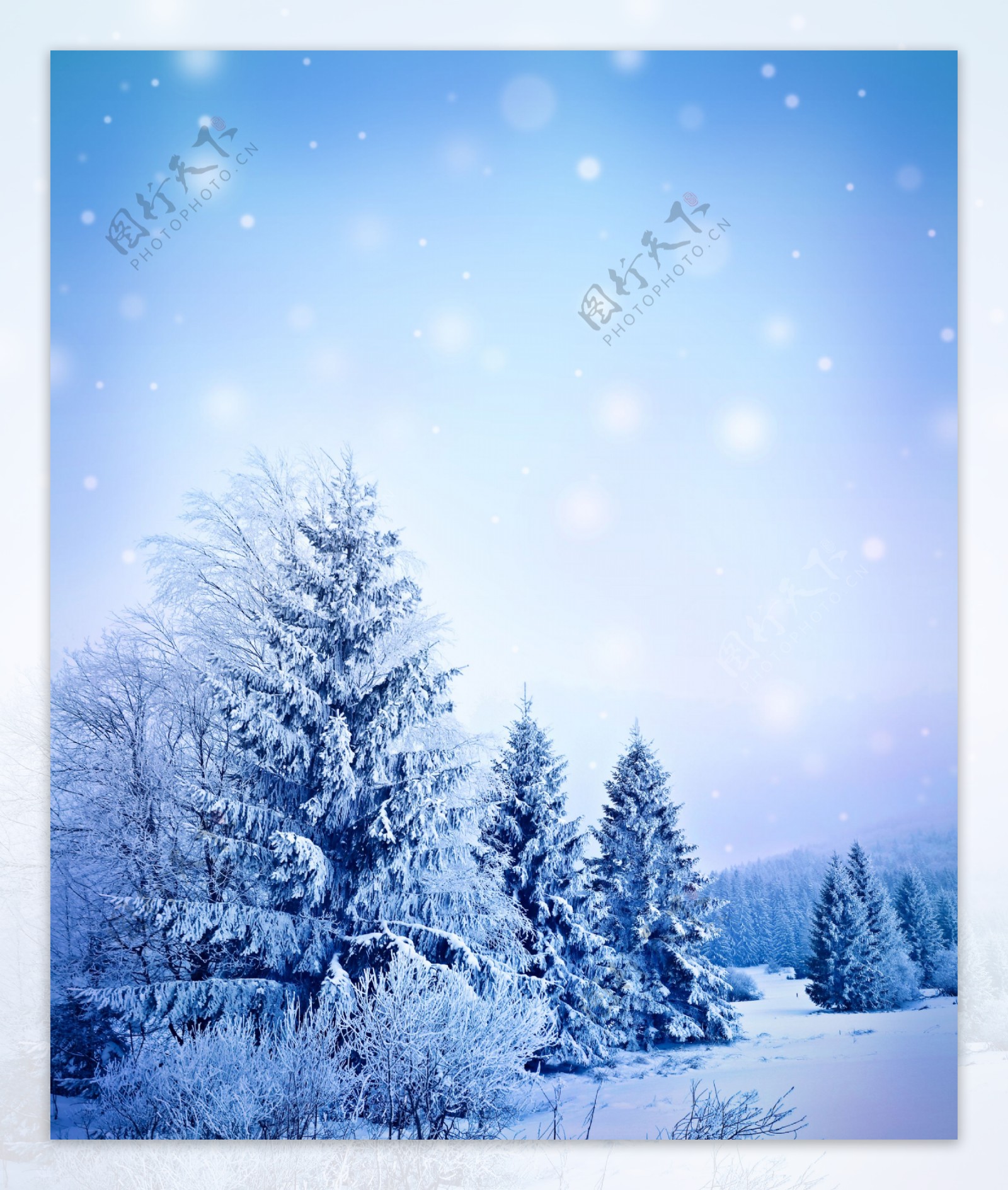 美丽冬天雪景图片