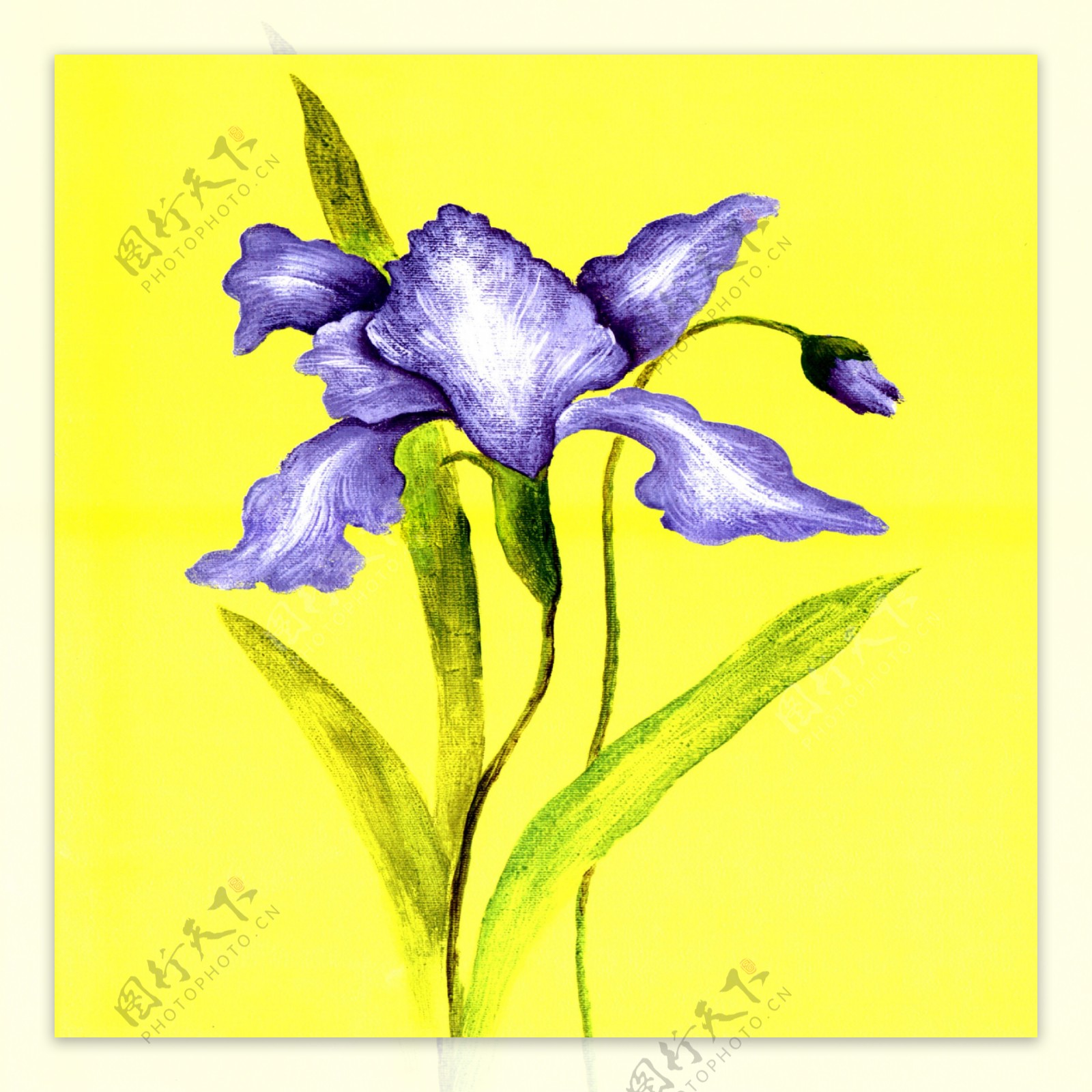 紫色油画花朵装饰画