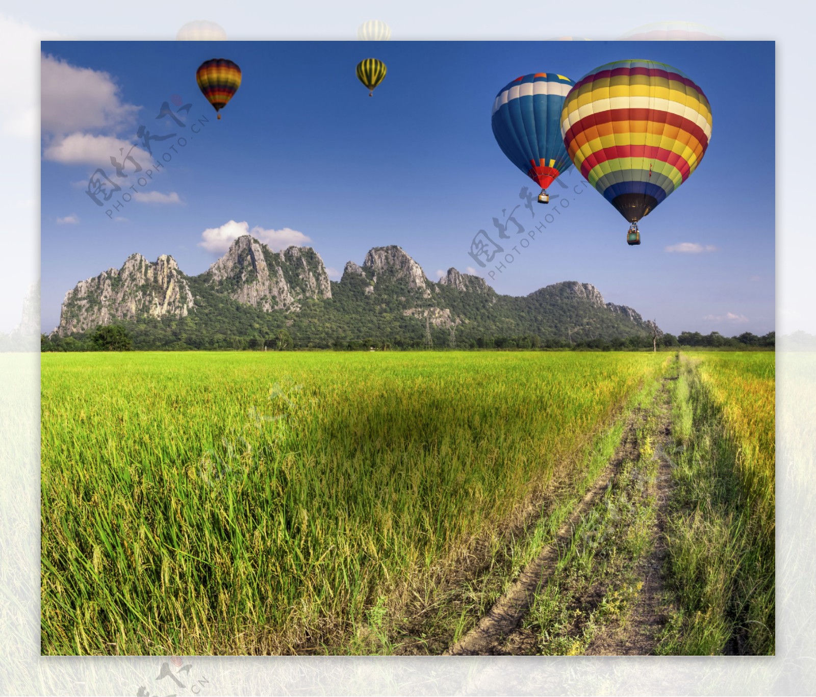 绿色田野上空的热气球图片