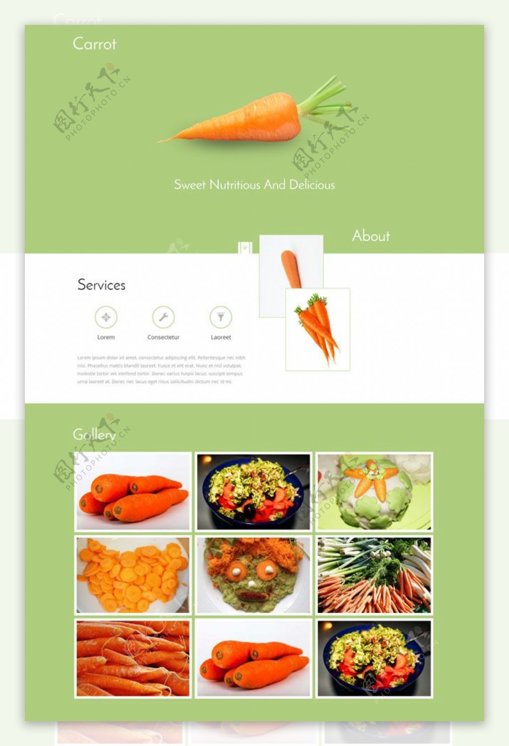 胡萝卜蔬菜网页素材