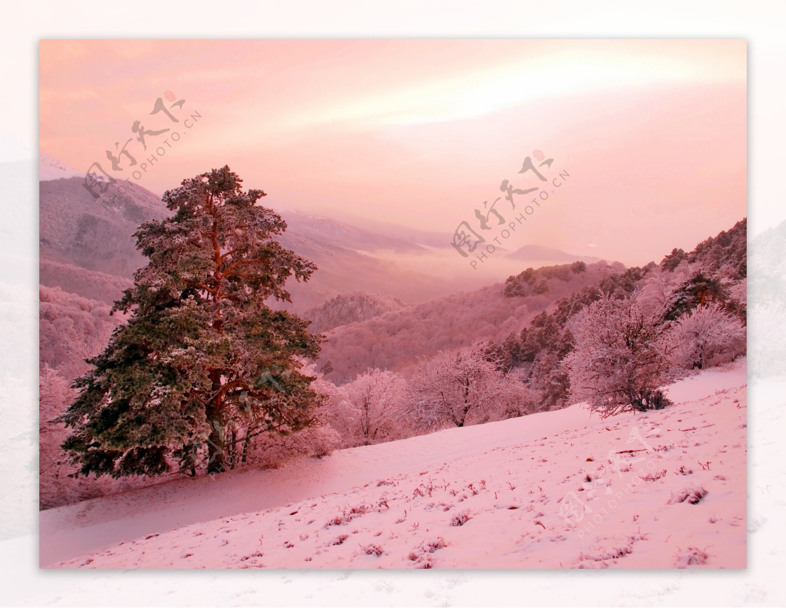 冬天雪景图片图片